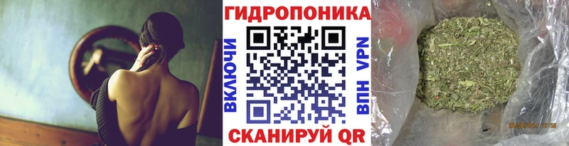Где купить наркоту Шенкурск Альфа ПВП АМФЕТАМИН ГАШ COCAIN Мефедрон
